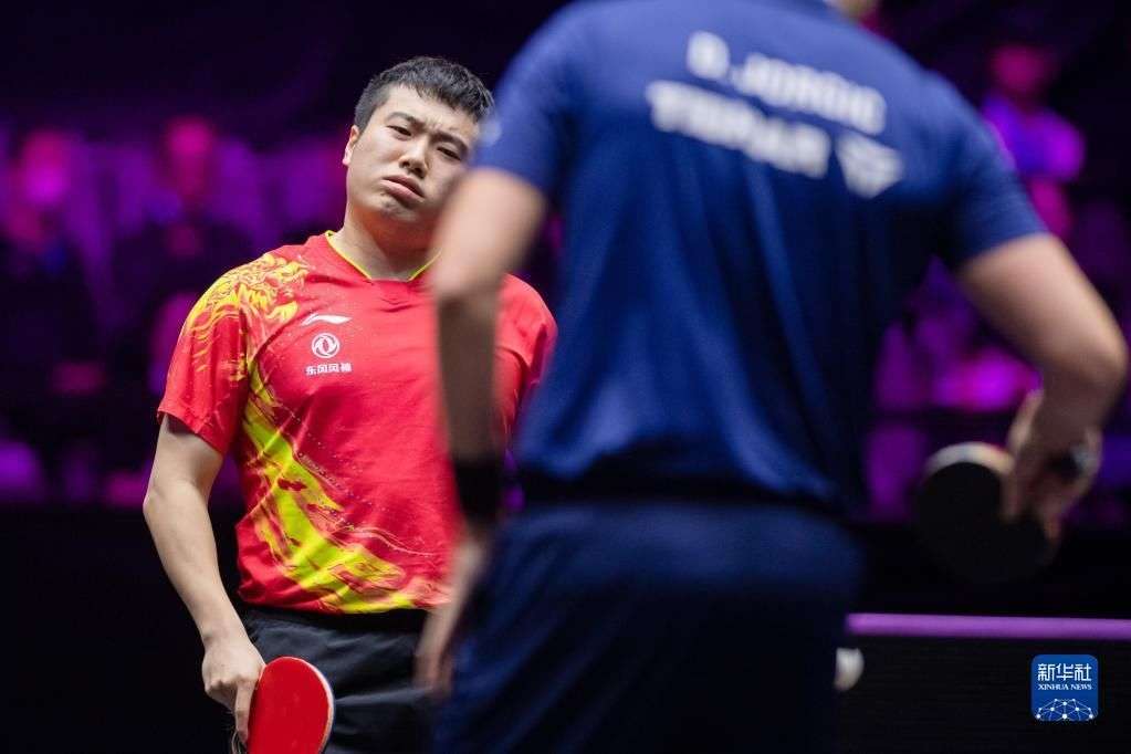 女单八强 女单八强