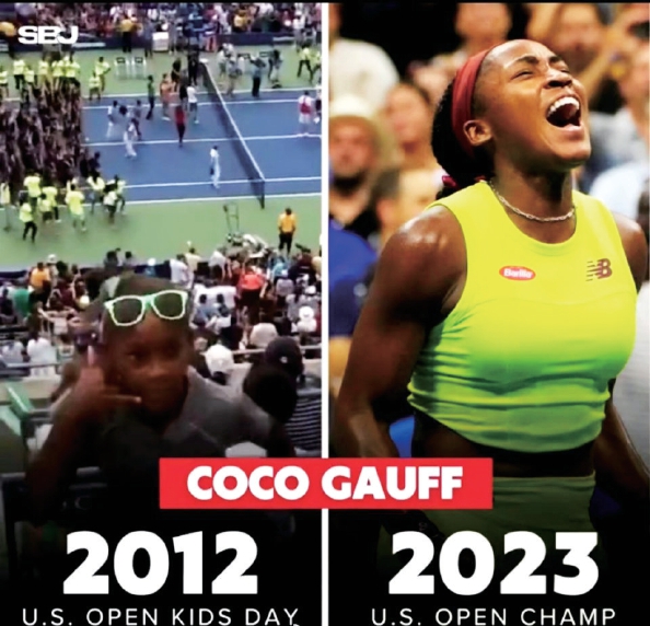 案例分析 案例分析